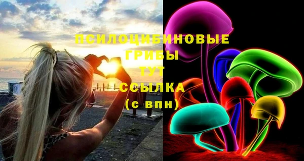 мдпв Кукмор