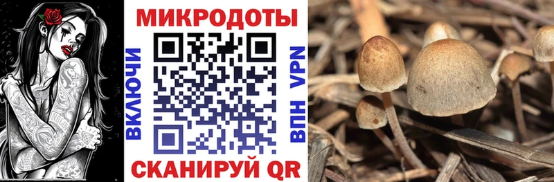 hydra как зайти  Егорьевск  Псилоцибиновые грибы мухоморы 