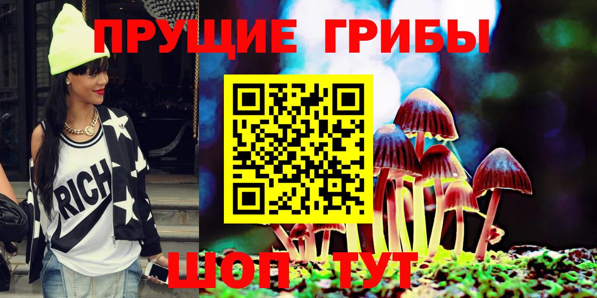 Егорьевск  Галлюциногенные грибы Psilocybine cubensis  Вход с VPN 